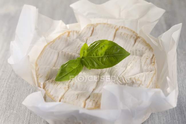 Camembert cheese in paper — Stock Photo
