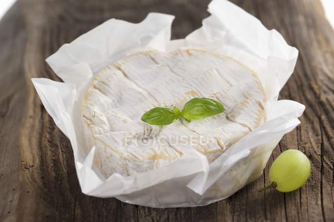 Queijo camembert em papel — Fotografia de Stock