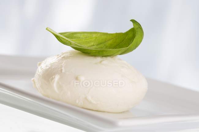 Mozzarella de buffle garnie de feuilles de basilic — Photo de stock