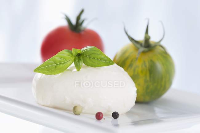 Red and green tomatoes and mozzarella — Stock Photo