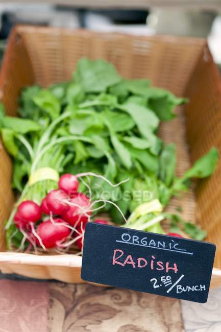 Organic radishes with price tag — Stock Photo