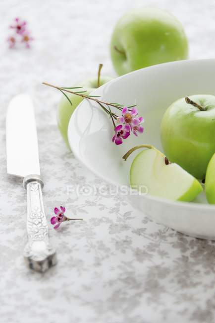 Granny Smith apples with pink flowers — Stock Photo