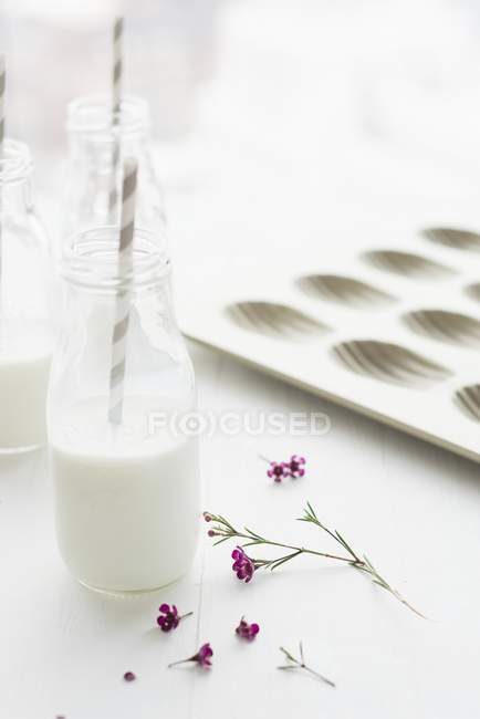 Flasche Milch mit Blüten — Stockfoto