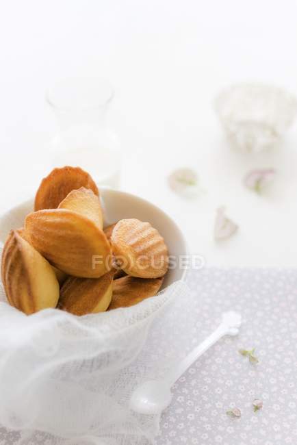 Bowl of baked madeleines — Stock Photo