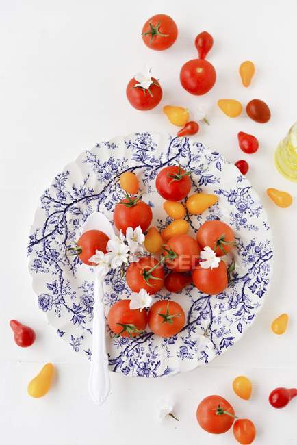 Tomates vermelhos e amarelos com flor — Fotografia de Stock