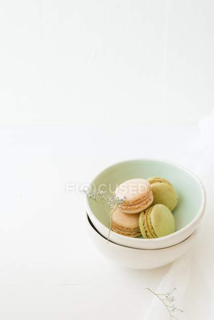 Bowl of macaroons on white — Stock Photo