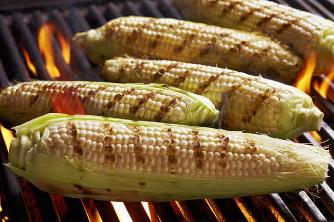 Sweetcorn cobs on barbecue — Stock Photo