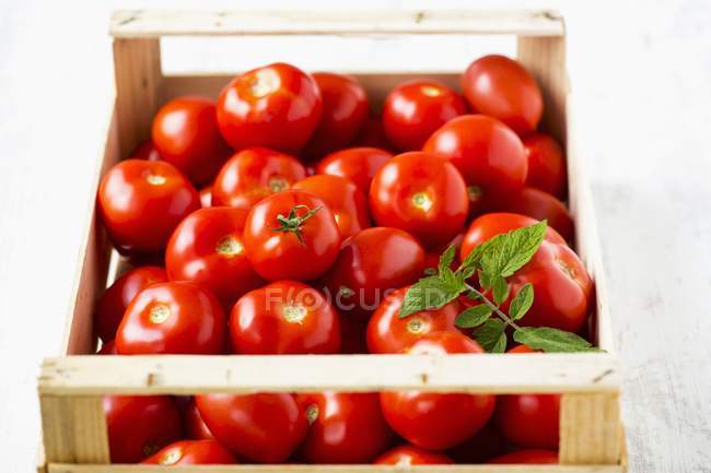 Tomates mûres dans une caisse en bois — Photo de stock