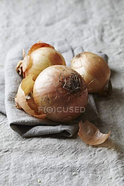 Onions on a linen cloth — Stock Photo