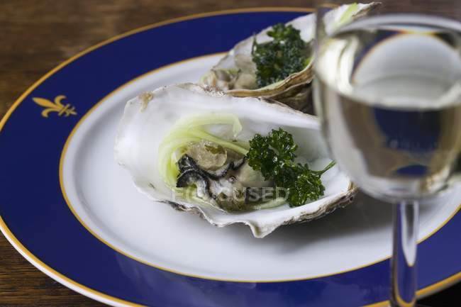 Pochierte Austern mit Gurkenstreifen — Stockfoto