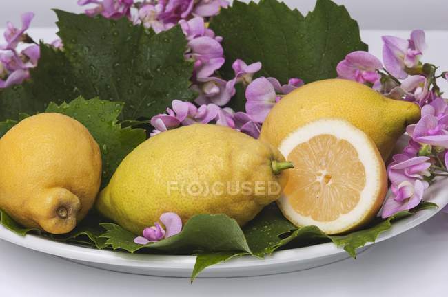 Lemons decorated with flowers — Stock Photo