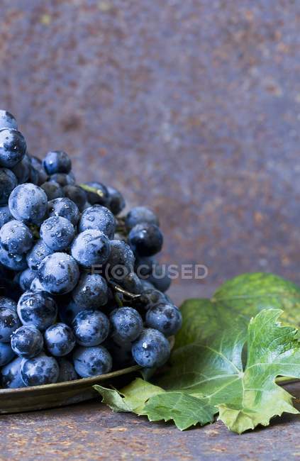 Freshly washed red grapes — Stock Photo