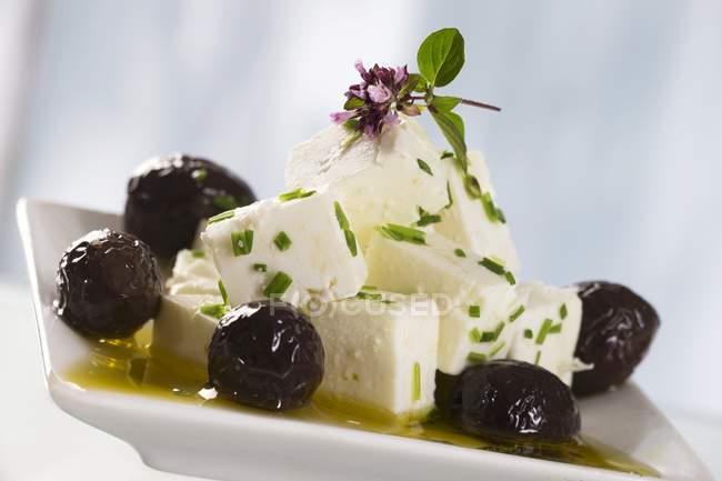 Salat aus Feta-Käse — Stockfoto