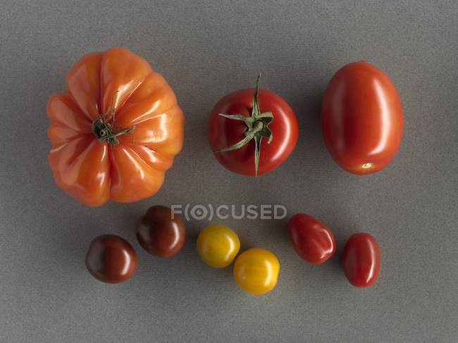 Bunte frische Tomaten — Stockfoto
