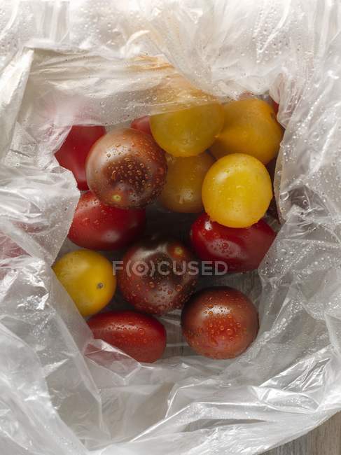 Frisch gewaschene bunte Tomaten — Stockfoto
