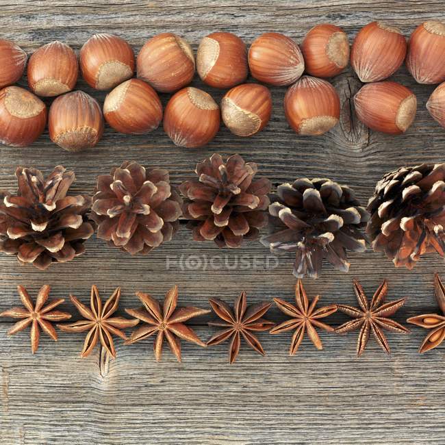 Closeup view of an autumnal arrangement of nuts, pine cones and star anise — Stock Photo
