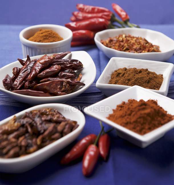 Spices in white dishes and chili peppers — Stock Photo