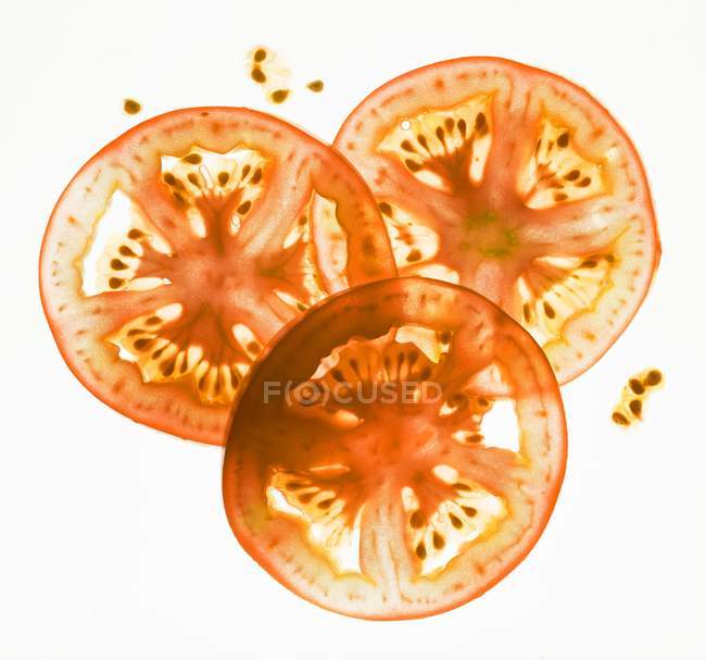 Back lit tomato slices on white background — Stock Photo
