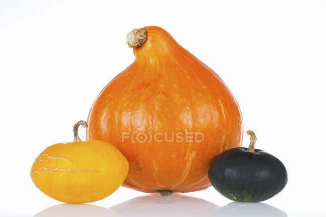 Different types of squashes — Stock Photo