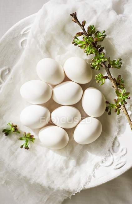 Œufs blancs et brindilles — Photo de stock