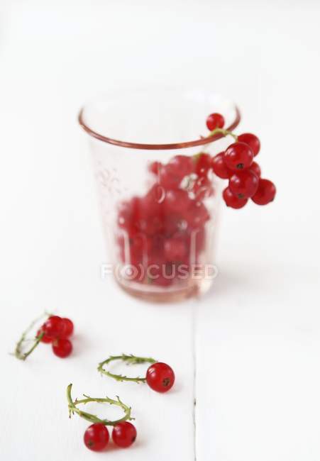 Groselhas vermelhas frescas em vidro — Fotografia de Stock