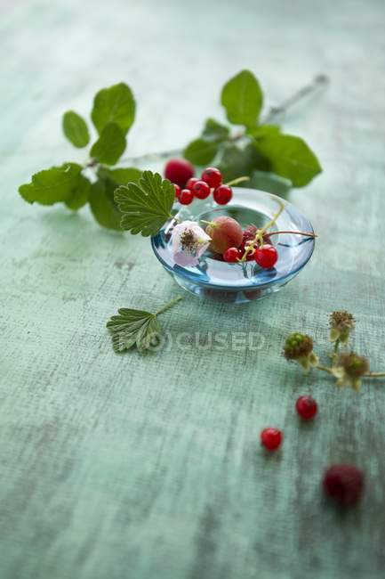 Смешанные ягоды с листьями — стоковое фото
