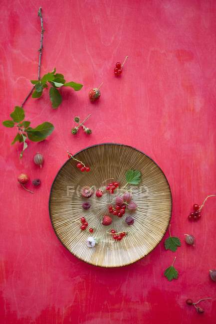 Raspberries with redcurrants and gooseberries — Stock Photo