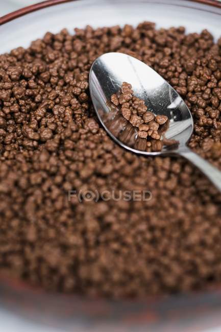 Espiões de arroz de chocolate — Fotografia de Stock