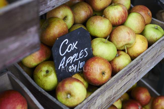 Деревянный ящик яблока Кокса — стоковое фото