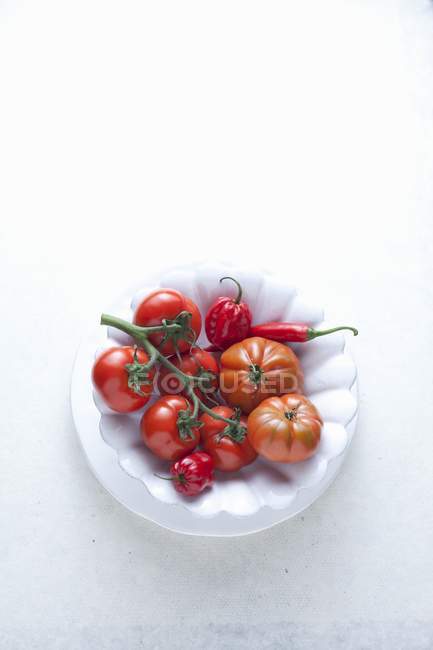 Fresh chillis and tomatoes — Stock Photo