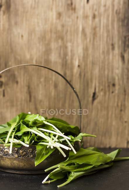 Свіже листя дикого часнику в кошику — стокове фото