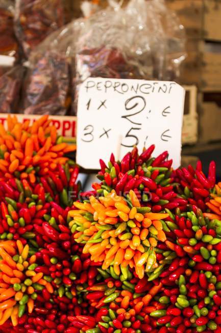 Bunches of fresh chilli — Stock Photo