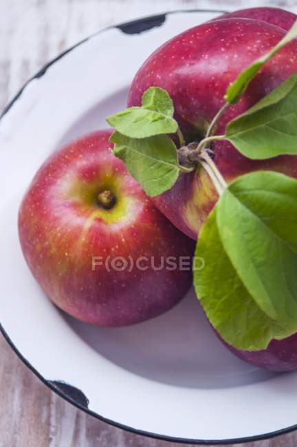 Bowl of freshly picked apples — Stock Photo