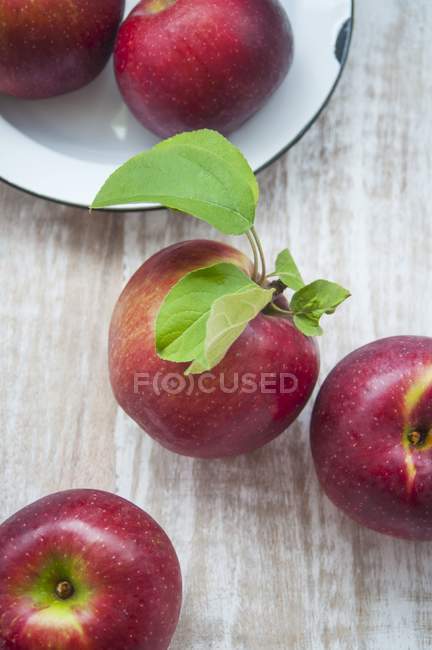 Свежесобранные красные яблоки — стоковое фото