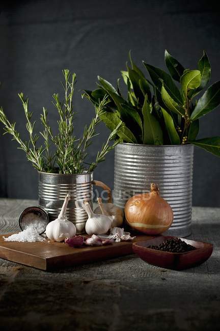 Ajo, cebolla, hierbas frescas y especias sobre fondo oscuro - foto de stock
