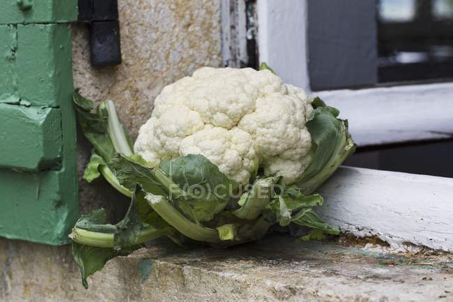 Fresh white cauliflower — Stock Photo