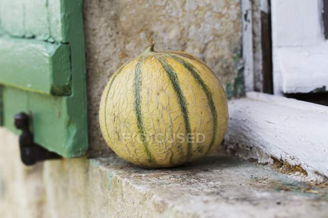Melon on window ledge — Stock Photo