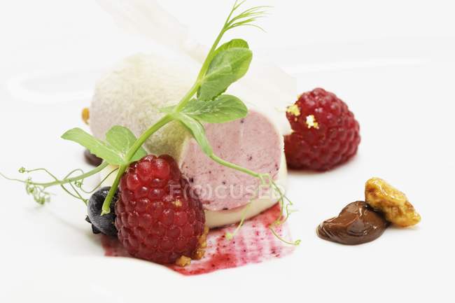 Raspberry ice cream roll — Stock Photo