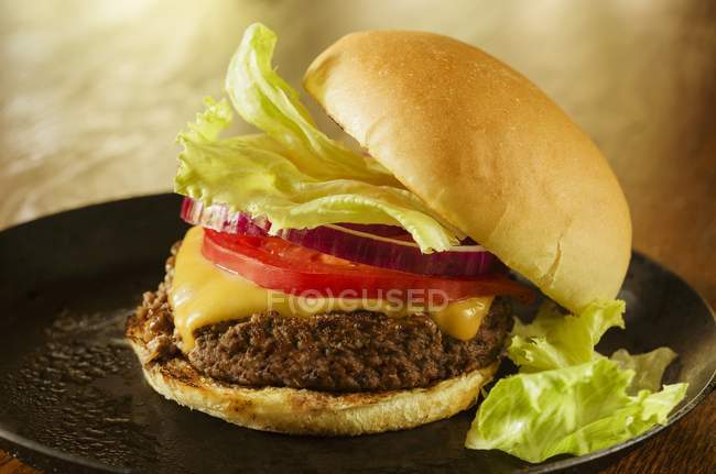 Cheeseburger with tomatoes and lettuce — Stock Photo