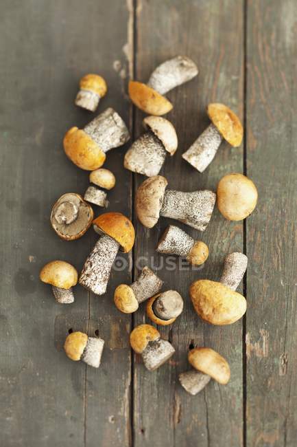 Top view of red-capped Scaber stalks mushrooms on wooden surface — Stock Photo