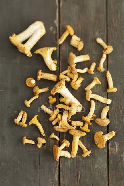 Chanterelle mushrooms on a rustic wooden table — Stock Photo