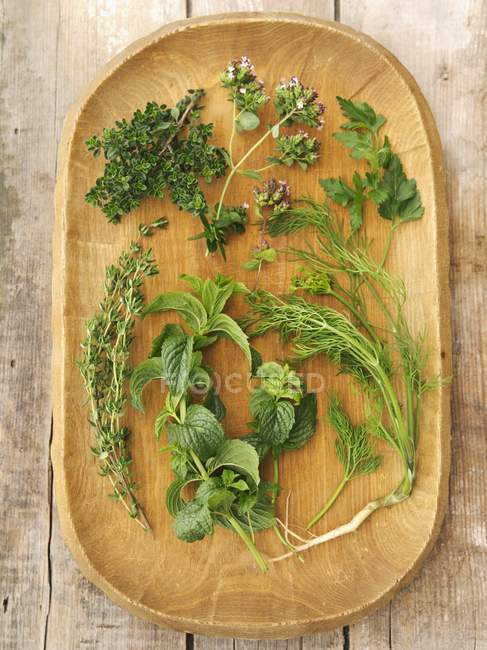 Fresh green herbs — Stock Photo