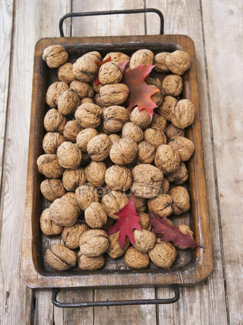 Walnuts with autumnal leaves — Stock Photo