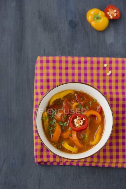Farbenfrohe Tomaten- und Paprikasuppe — Stockfoto
