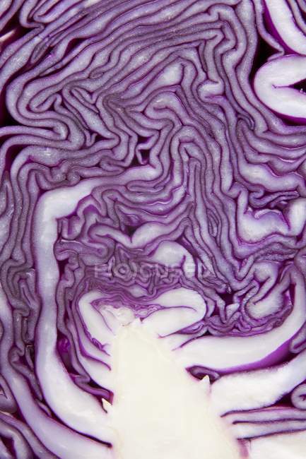 Halved fresh Red cabbage — Stock Photo