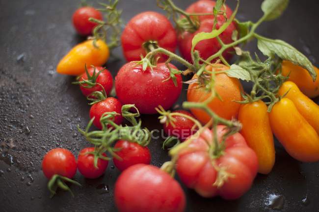 Tomates rojos y amarillos - foto de stock