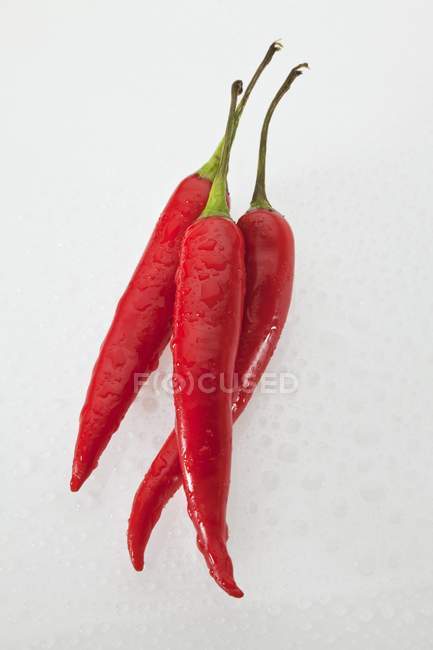 Freshly washed red chilli peppers — Stock Photo