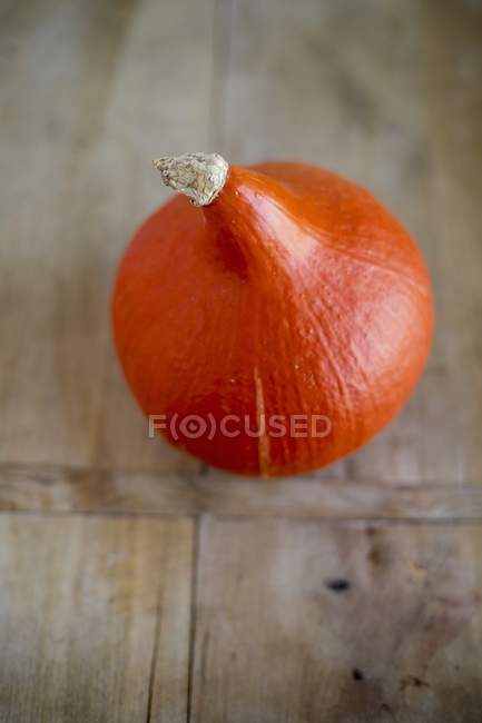 Zucca fresca di Hokkaido — Foto stock