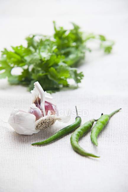 Garlic with chilli peppers and coriander — Stock Photo