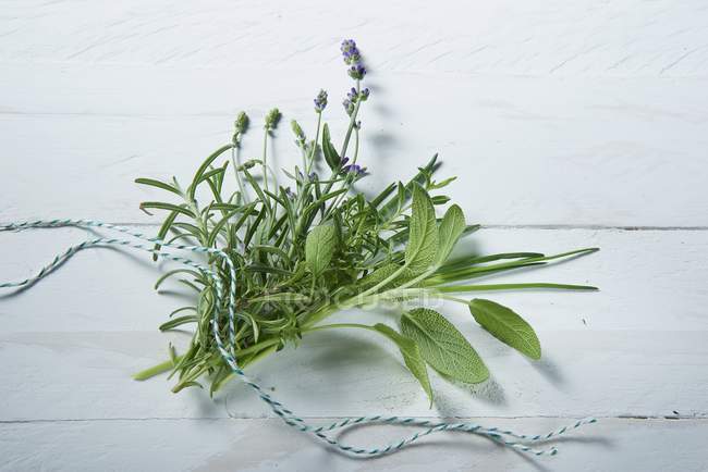 Ramo fresco de ervas com corda — Fotografia de Stock